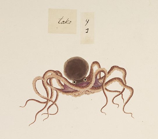 Wasserfarbenbild eines Kranken aus den 1820ern.