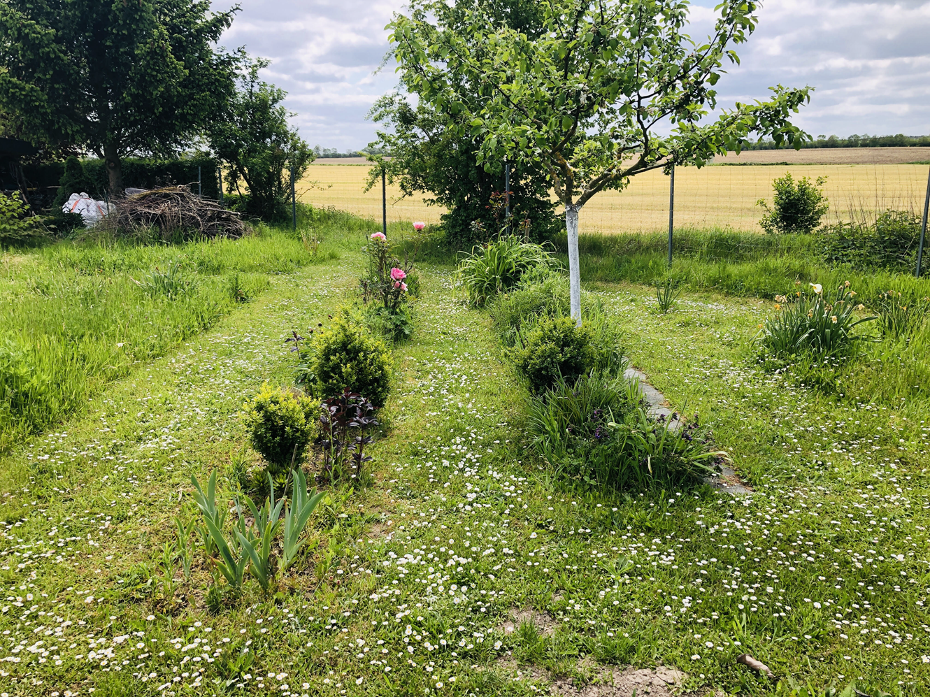 23-05-19 Milchstraßen