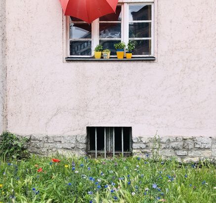 Vorgarten mit verschiedenen Sommerblüten auf Gras, ein Fenster mit rotem Regenschirm.