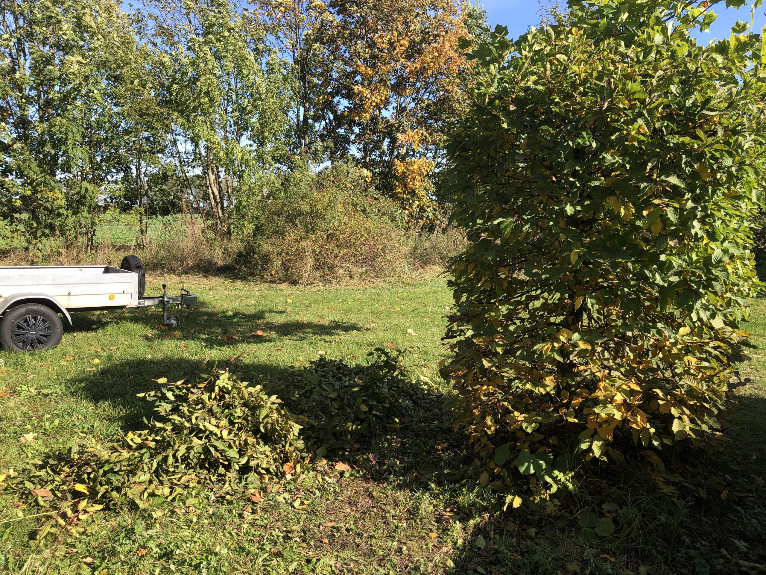 24-10-13 Das Internet kam mit Uber Eats