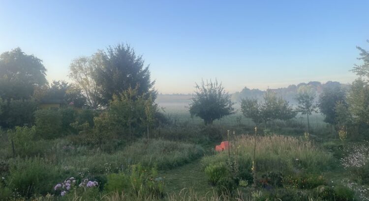 Ein Nebelmorgen. Acker, einige kleinere Bäume, Wiese und Beet in leichtem Nebel. Dahinter blauer Himmel, am Horizont ein leichtes oranges Leuchten.