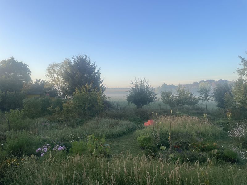Ein Nebelmorgen. Acker, einige kleinere Bäume, Wiese und Beet in leichtem Nebel. Dahinter blauer Himmel, am Horizont ein leichtes oranges Leuchten.