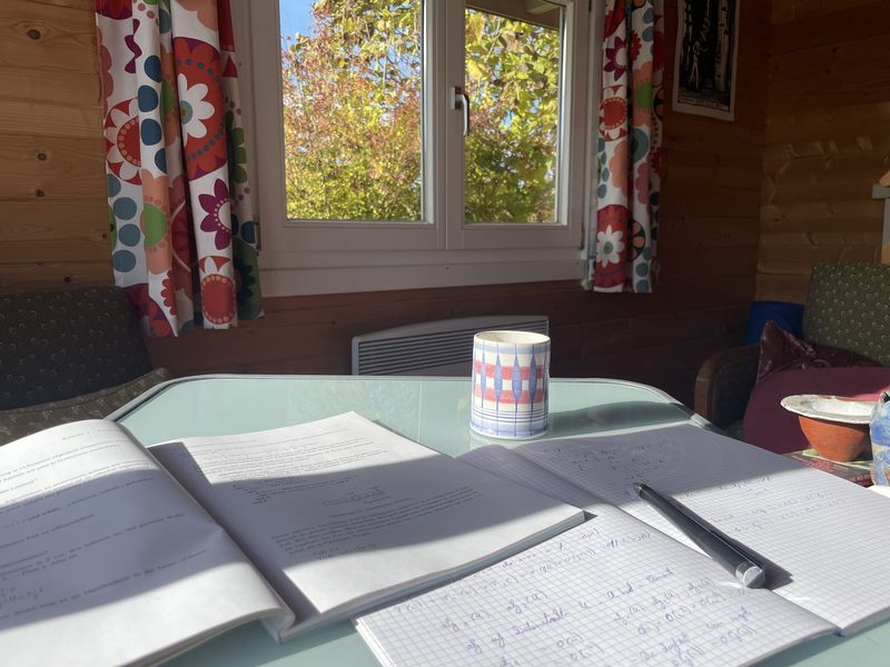 25-10-21 Geschmolzene Schokolade, gekochte Cosmeen
