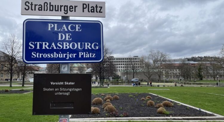 Bild aus dem Stuttharter Schlossgarten. Im Hintegrund Park davor ein halbleeres gepflegtes Bild. Im Vordergrund Bilder "Straßburger Platz / Place des Strasbourg/ Strossburjer Platz" und "Vorsicht Skater. Skaten an Sitzungstagen untersagt"