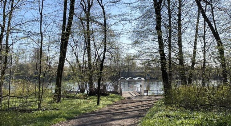 Blick aus dem Wald auf den Anleger der F11 an der Spree