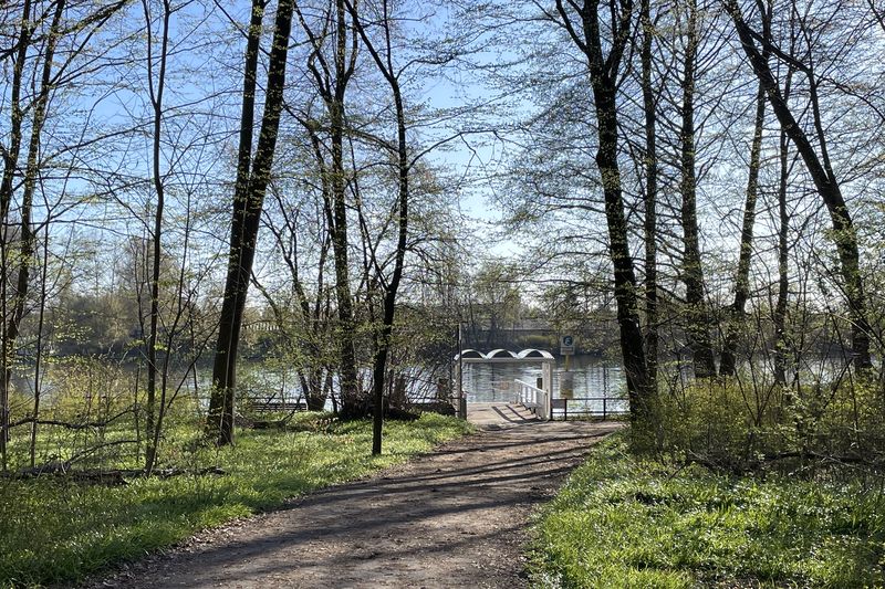 Blick aus dem Wald auf den Anleger der F11 an der Spree