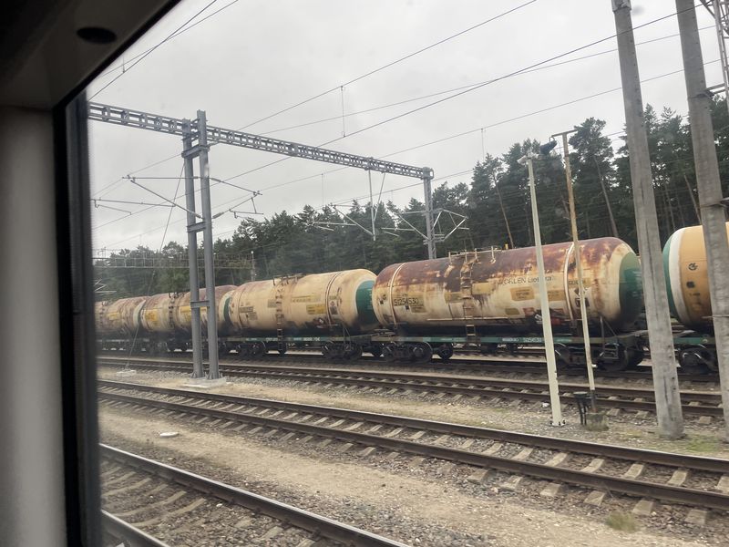 26-07-25 Waldwege kreuzen (Vilnius – Klaipėda)